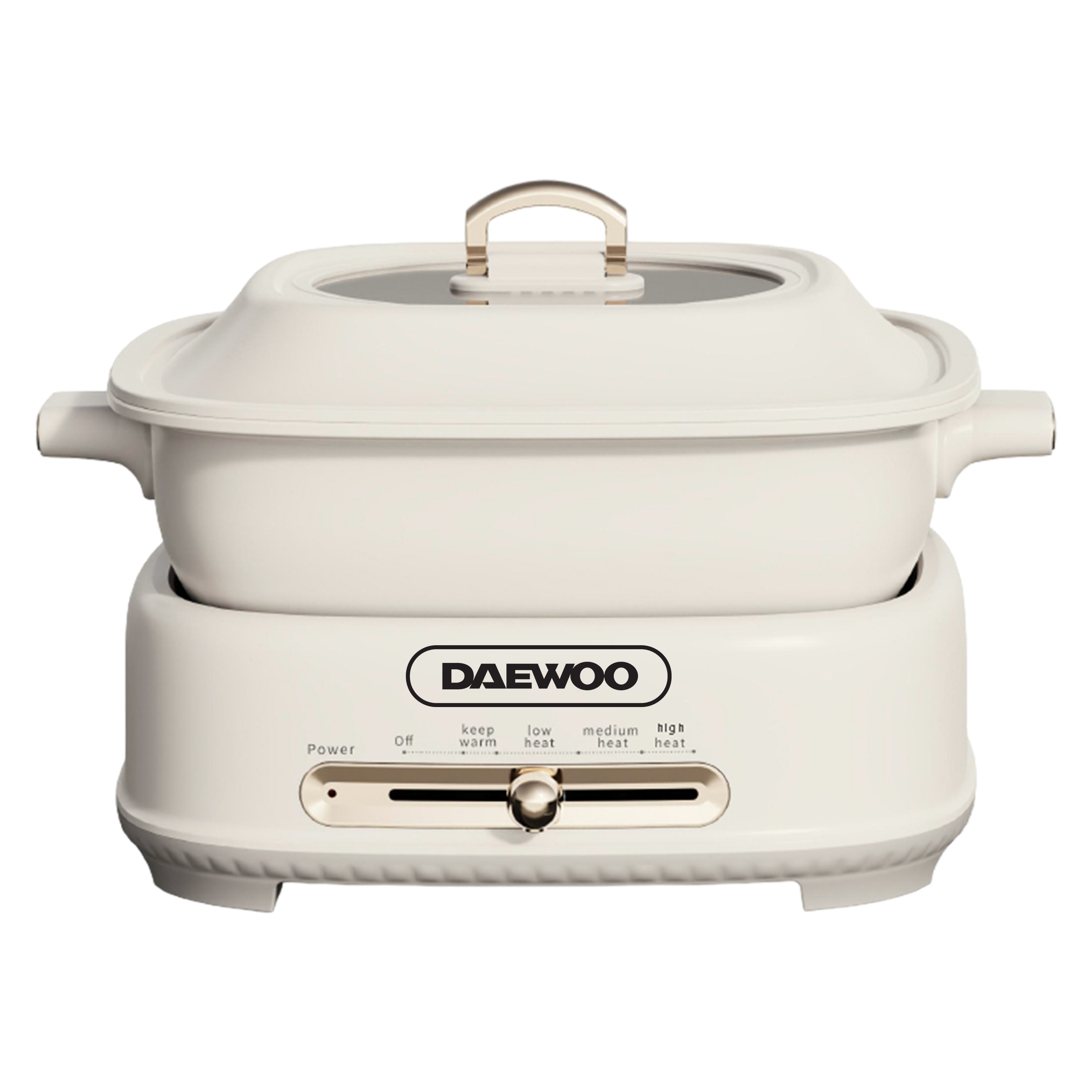 Batch 2 Product Photos with Daewoo Logo 6L Multifuntion Hot Pot DHP-60LCRM